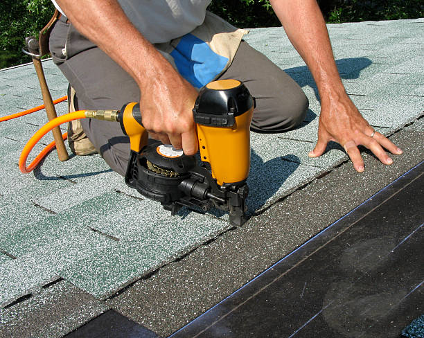 Best Roof Gutter Cleaning  in Rolla, ND
