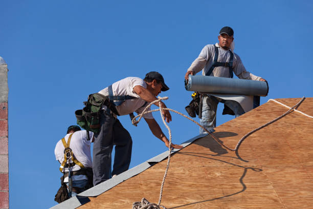 Professional Roofing Contractor in Rolla, ND