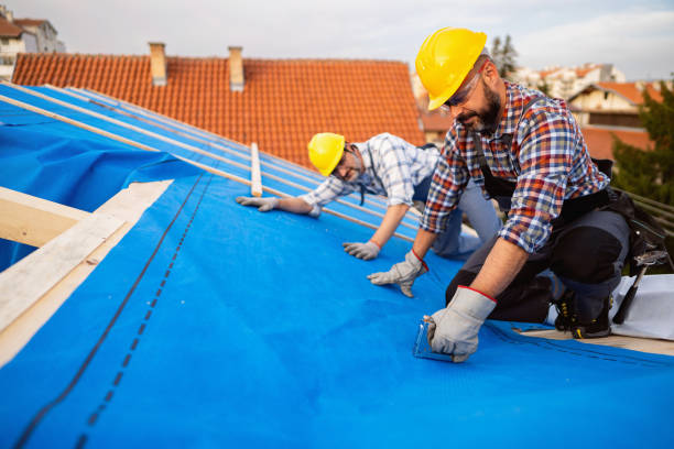 Best Roof Gutter Cleaning  in Rolla, ND