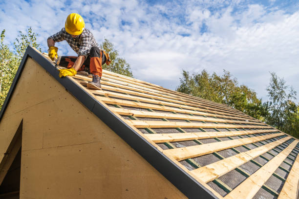 Best Commercial Roofing Services  in Rolla, ND