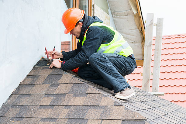 Best Storm Damage Roof Repair  in Rolla, ND
